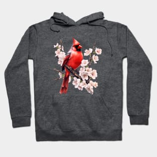 Northern Cardinal Wild Backyard Birds Flower Garden Birders Hoodie